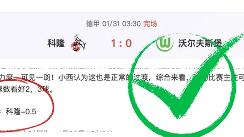 【二十载荣耀回顾：国青砥砺前行，历史长河挑战重重】